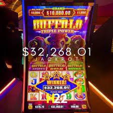 Descubra o Mundo do Cassino Online com H22